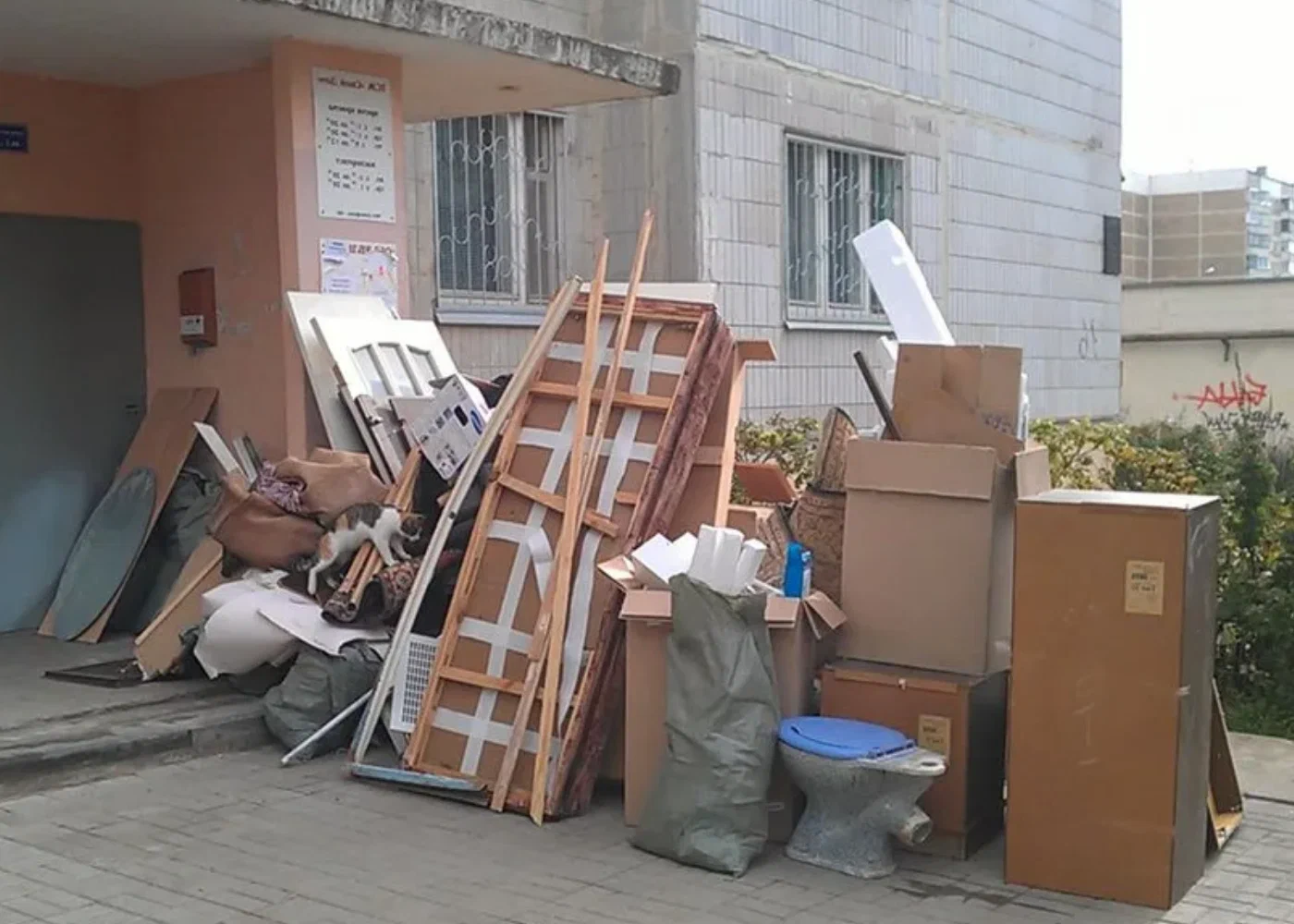Профессиональный вывоз мусора из квартиры в Пыти-Яхах в октябре