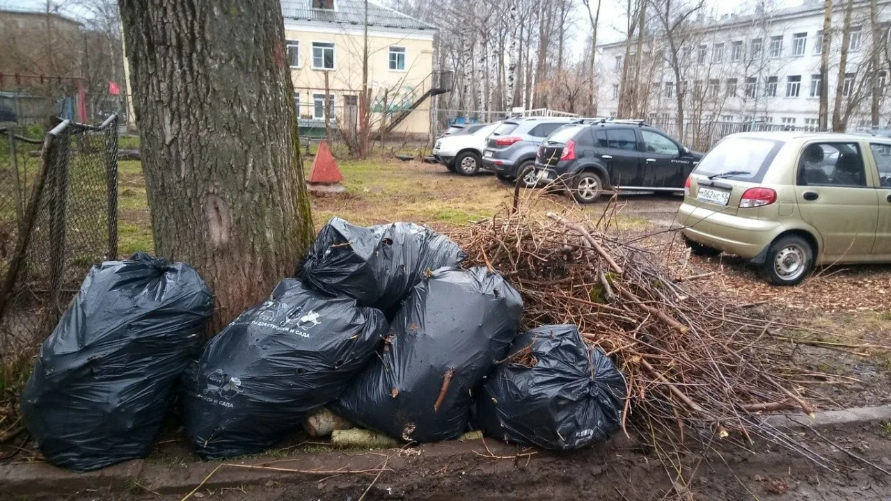Вывоз мусора после субботника в Пыти-Яхах от ПроМусор – уборка и утилизация отходов от 2391 руб
