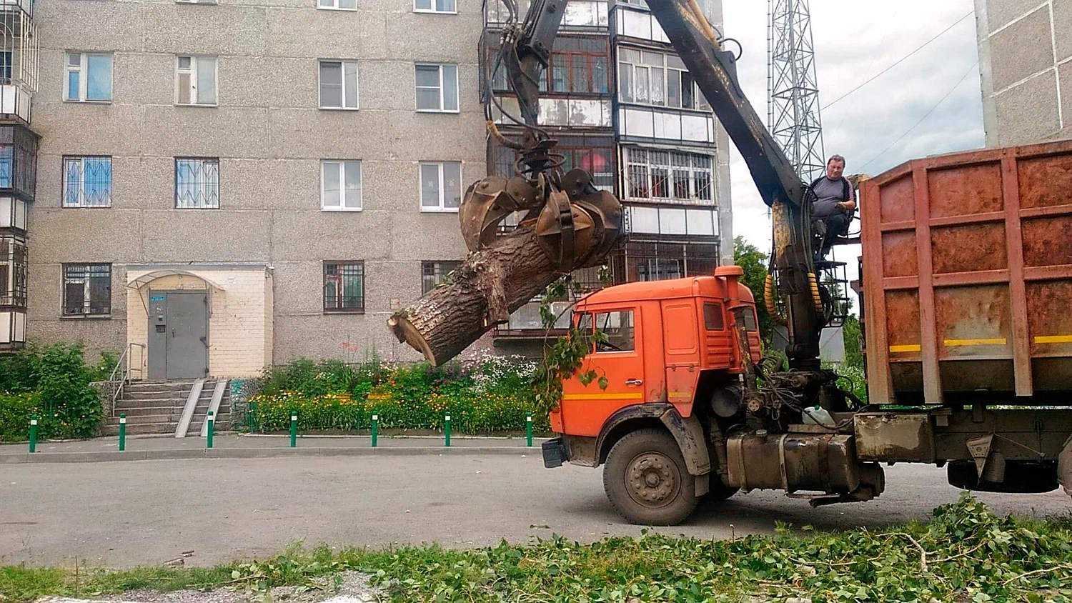 Вывоз спиленных веток и деревьев в Пыти-Яхах от ПроМусор: порубочные остатки, утилизация, цена от 2950 руб