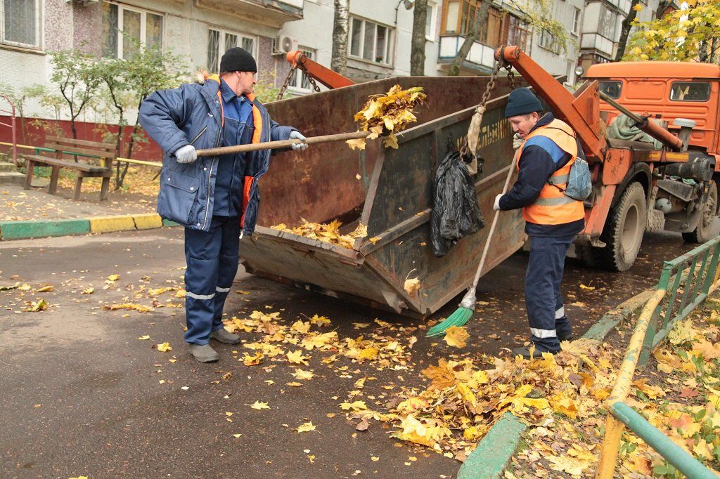 Вывоз опавшей листвы и растительного мусора в Пыти-Яхах от ПроМусор – цена от 4578 руб., быстрая уборка и утилизация